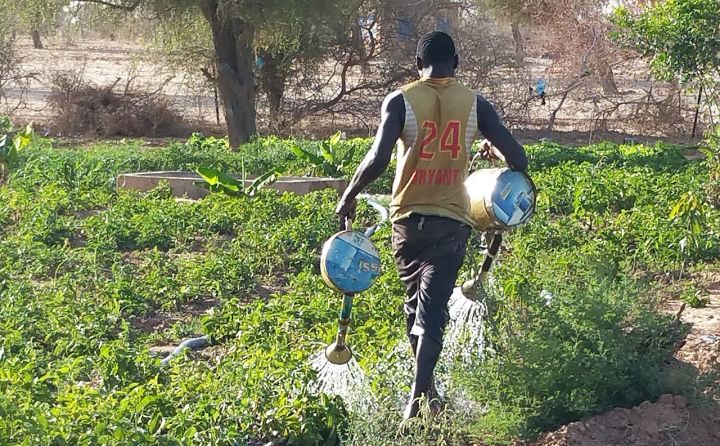 Arrosage manuel par faute de forage